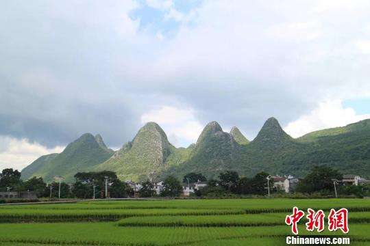 贵州启动森林城市建设三年行动计划: 建千个森林公园 贵州启动森林城市建设三年行动计划: 建千个森林公园