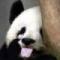 我也是玩刀的