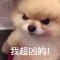 啦啦啦