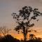 嗯哈