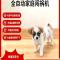 恩柔
