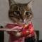 总让我猜