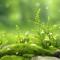 green777