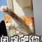 评西王