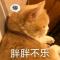铁头头铁铁铁