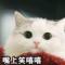 水水宝宝