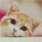 船长