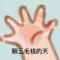 乪尀蛋花