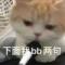吃枣儿