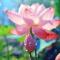 花蕊
