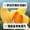 精品芒果