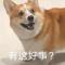 飞翔的初音