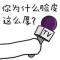 真我的风采
