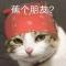 教主