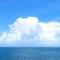 海阔天空