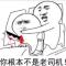 网络首席评论员