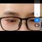 会飞的鱼