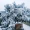 天怒飘雪