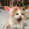 晓蔷