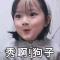 王哲