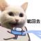 看电影艺术领域专家