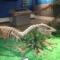用户42xxx00