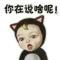 二字开头的年龄怎敢放肆