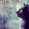 小雨下一下