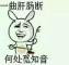 陈珏