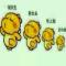 有时V会装傻