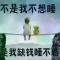 十八号