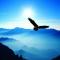 HAWK
