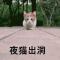 深山猎户