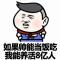 哇哈哈
