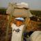 前世今生