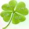 四叶幸运草南宫逸尘