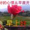 用户12xxx45