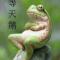 红尘逍遥