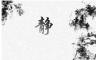 从此再无浅笑