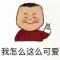 宝哥