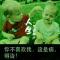  笨笨无敌