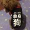 含蓄绝对