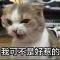 转角遇见你