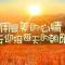 共享阳光