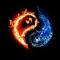 leo_jmy