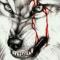 crazy wolf