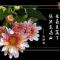知足常乐