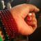 cowry