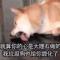 啦啦啦一号