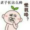 大马士革花纹